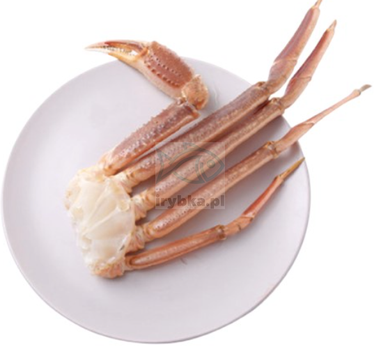 Königskrabbenbeine roh gefroren ca. 300g